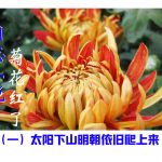未标题 2