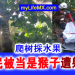 Tewu20210911a0